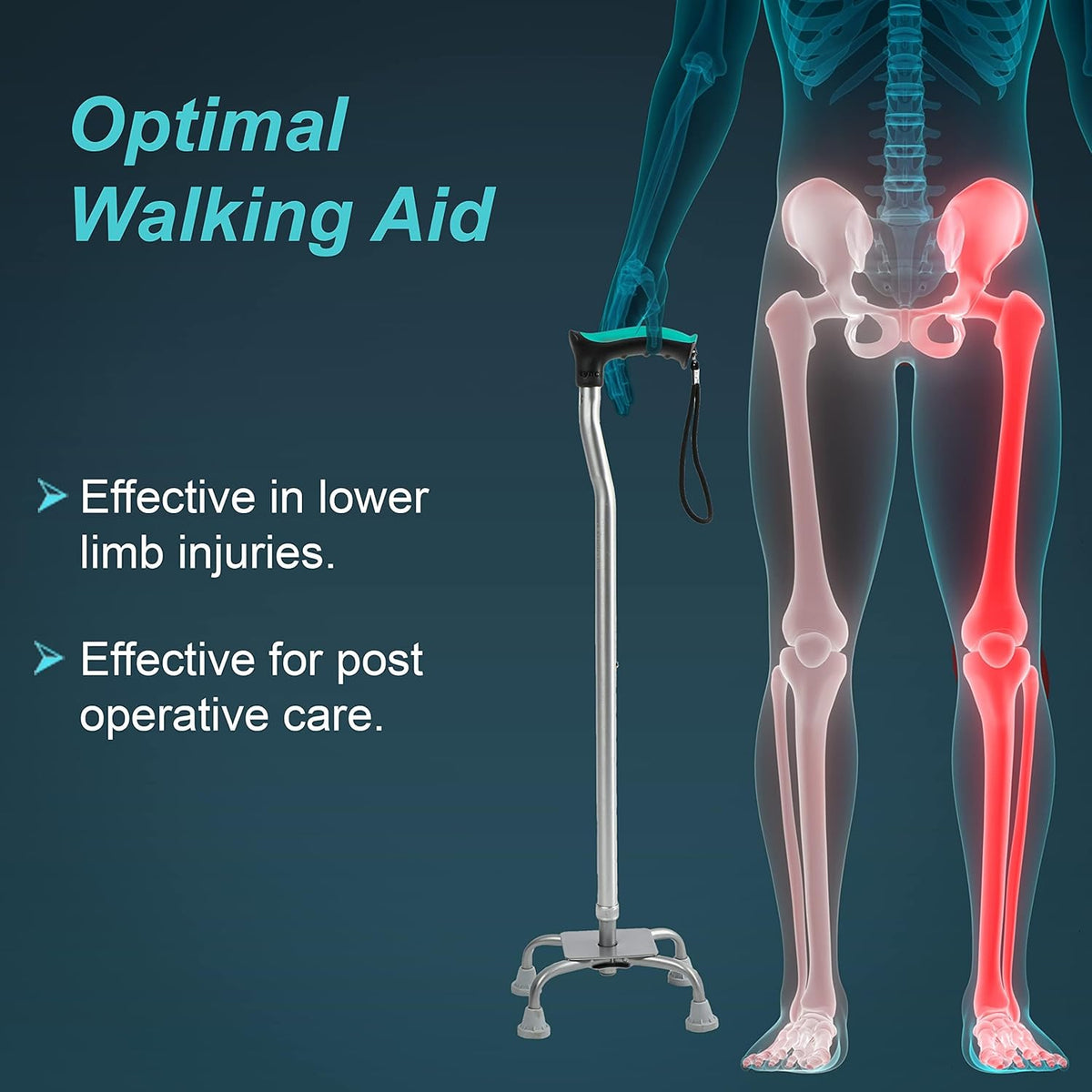Tynor Walking Stick Quadripod